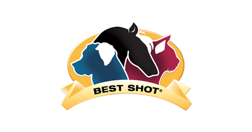 Best shot shampoo hond