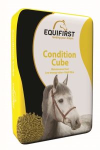 Equifirst Condition Cube-20 KG