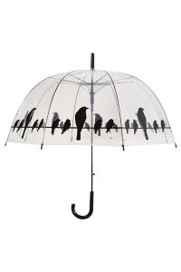 Paraplu Vogels Op Draad Transparant / Zwart-81.5 CM