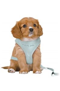 Trixie Hondentuig Junior Puppy Softtuig Met Riem Mintgroen-36-50X1 CM / 2 MTR