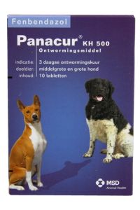 Panacur Hond/kat-500 MG 10 TABLET