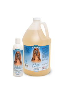 Bio-Groom White Ginger Fragnance shampoo hond en kat 1:4