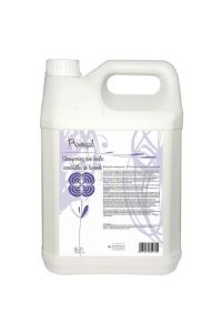 Diamex Shampoo Provence Lavendel-5l 1:8