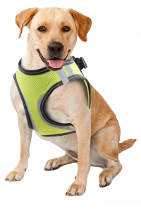 Pawise Doggy Safety Harness XS A:28-30cm B:32-37cm