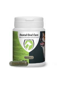 Dental Oral Care Hond 90 tabletten