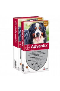 Advantix 600 hond (40 - 60 kg) - 4 pip