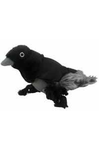 Wild Life Dog Raven (Raaf)