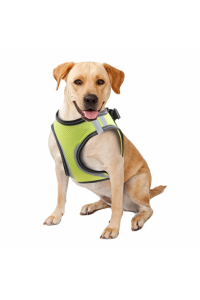 Pawise Doggy Safety Harness XL A:40-48cm B:50-54cm