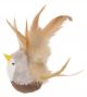Rosewood Vogel Met Catnip En Dierengeluid-12 CM