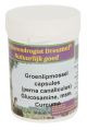Dierendrogist Groenlipmossel Met Glucosamine / Msm / Curcuma-150 ST