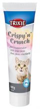 Trixie Crispy N Crunch Pasta-100 GR