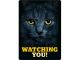 Plenty Gifts Waakbord Blik Zwarte Kat Watching You-21X15 CM