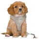 Trixie Hondentuig Junior Puppy Softtuig Met Riem Lichtgrijs-36-50X1 CM / 2 MTR