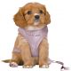 Trixie Hondentuig Junior Puppy Softtuig Met Riem Lila-36-50X1 CM / 2 MTR