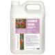 Diamex Cleaner Salon Provencal Fleuri - 5L