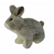 Wild Life Dog Rabbit (Konijn)