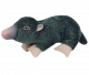 Wild Life Dog Mole (Mol)