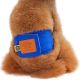 Honden Plasband Dogstyle Blauw-M