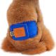 Honden Plasband Dogstyle Blauw-XL