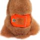 Honden Plasband Dogstyle Oranje-XL