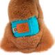 Honden Plasband Dogstyle Smaragdgroen-XL